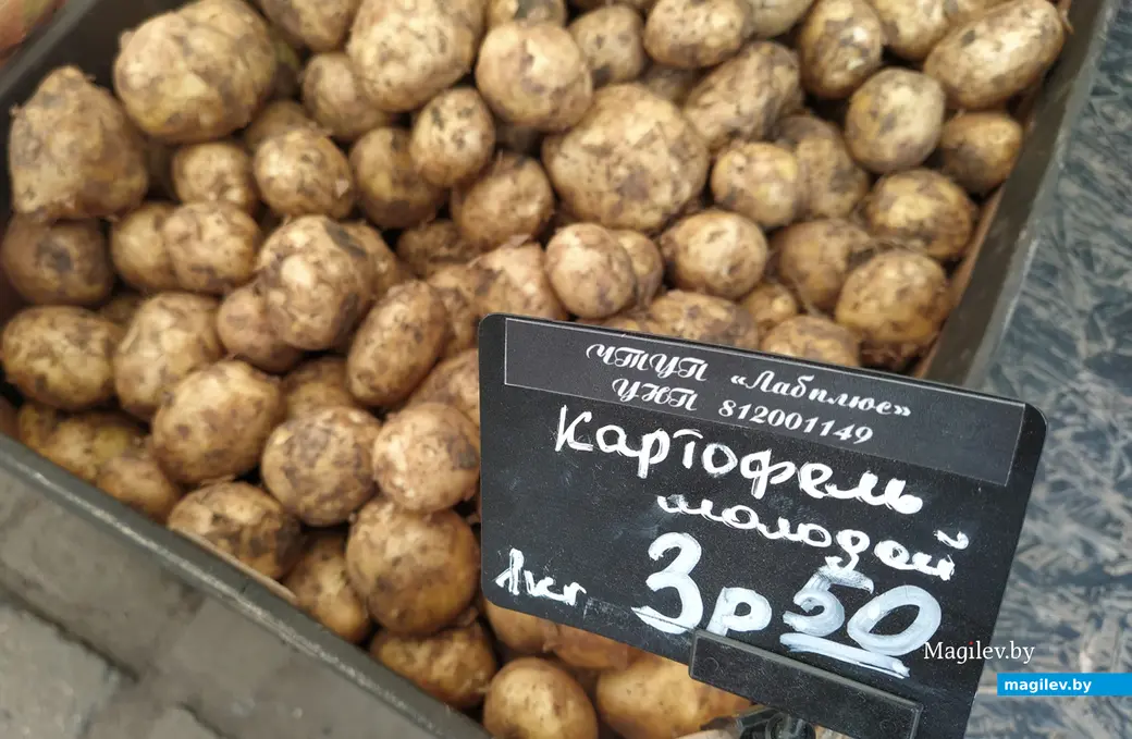 Картофель на рынке по улице Островского. Могилев, июнь, 2022 год.