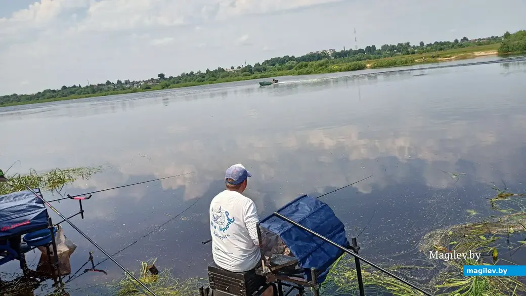 11 июня 2022 года. Суточный тандем по спортивному лову рыбы фидером на реке Березина.