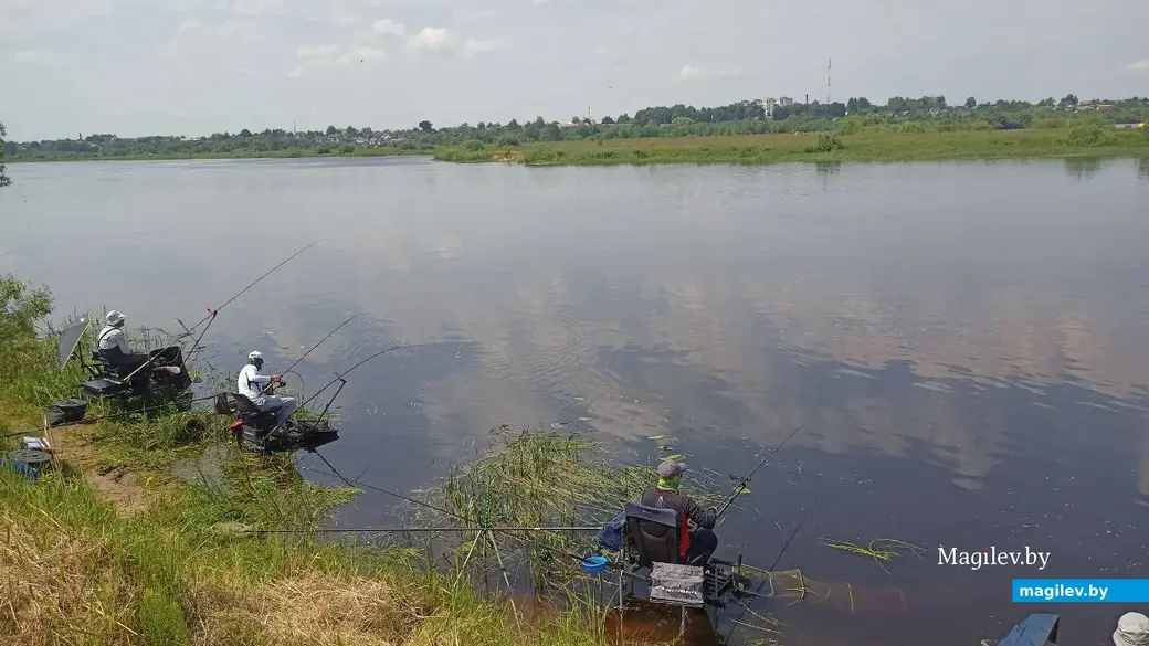11 июня 2022 года. Суточный тандем по спортивному лову рыбы фидером на реке Березина.