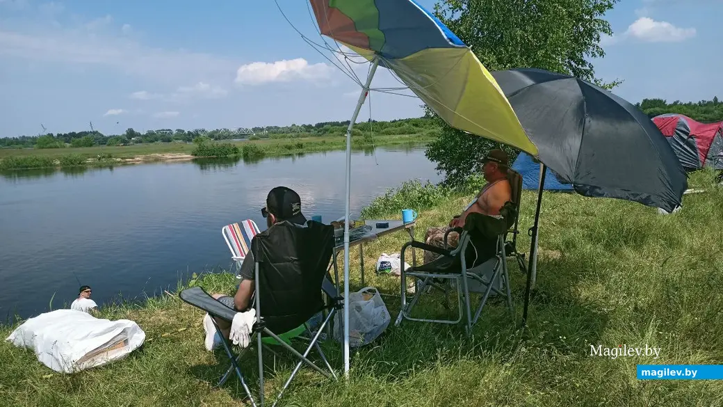 11 июня 2022 года. Суточный тандем по спортивному лову рыбы фидером на реке Березина.