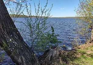 Туристско-эколого-рекреационный кластер «Чигиринка» появился в Могилевской области