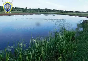 В Климовичском районе подросток утонул вместе с конем