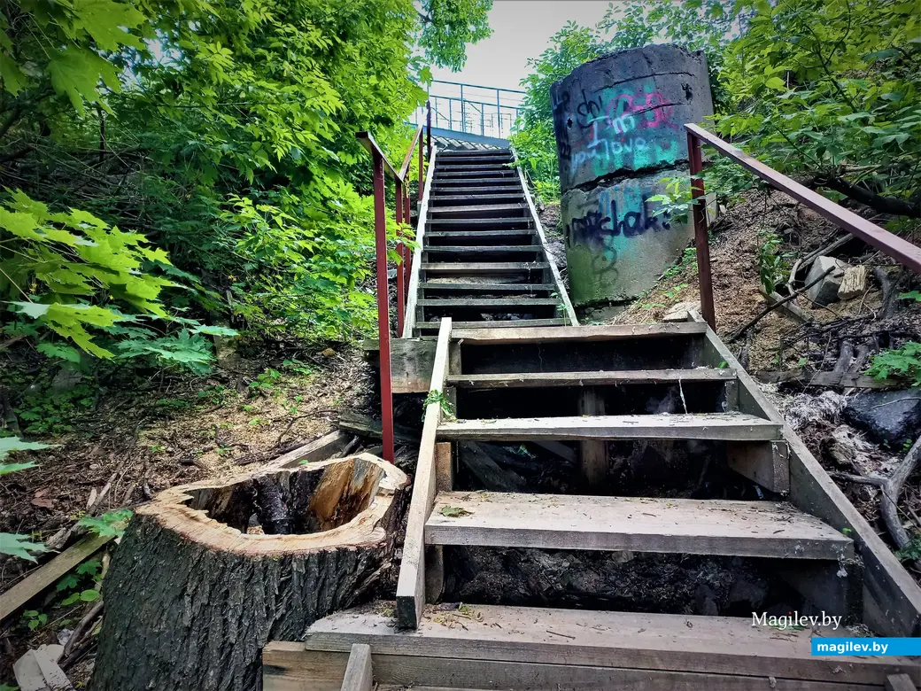 Волшебная лесенка на Дубровенке. Могилев, июнь, 2022 год.