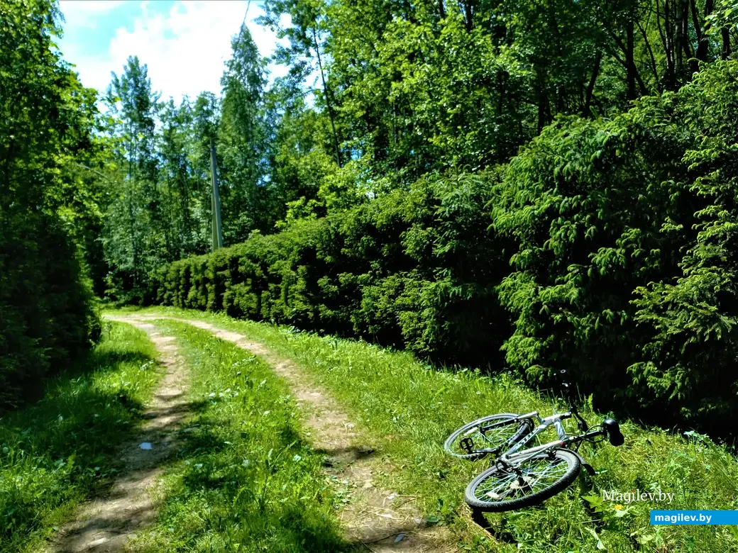 Могилев, Сараканайск, 16.06.2022 г.