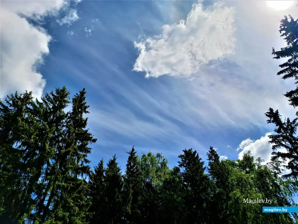 Могилев, Сараканайск, 16.06.2022 г.