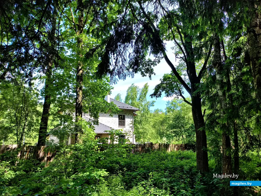 Могилев, Сараканайск, 16.06.2022 г.