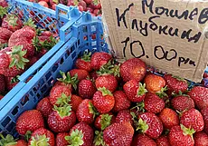 Что почем? Цена клубники снижается на рынках Могилева