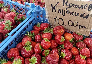 Что почем? Цена клубники снижается на рынках Могилева