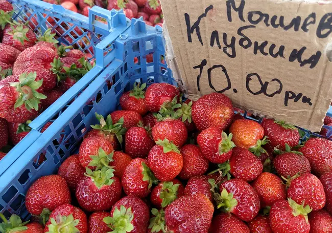 Что почем? Цена клубники снижается на рынках Могилева