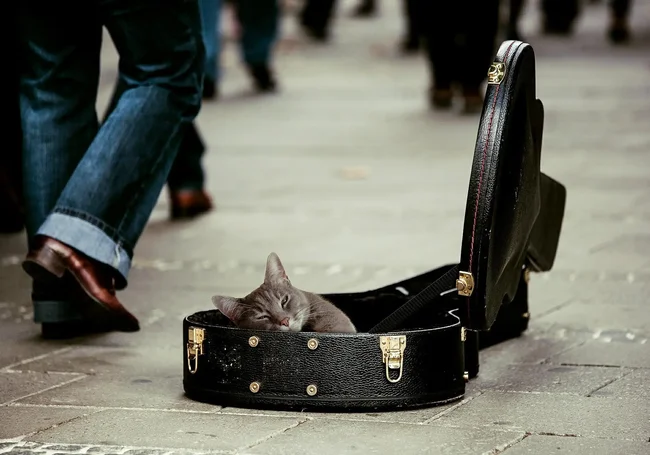 Уличные музыканты сыграют 17 июня в Могилеве на концерте Street Music Art