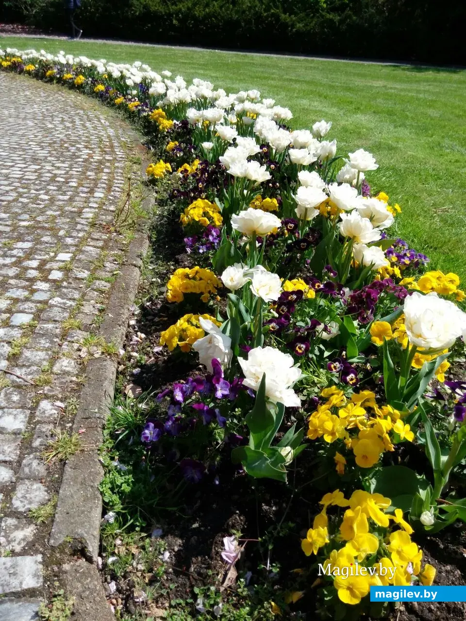 А может именно ваша клумба станет лучшей в городе? Фото носит иллюстративный характер