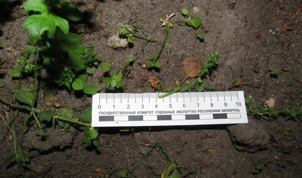 Пьяный мужчина в Могилеве стрелял в подростков из пневматики. Фото: СК.