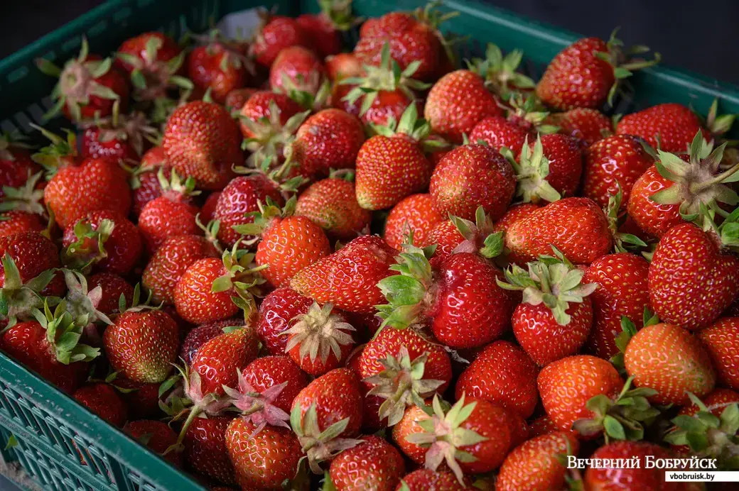 17.06.2022. Бобруйск. Торговля овощами на рынке (улица Красноармейская)