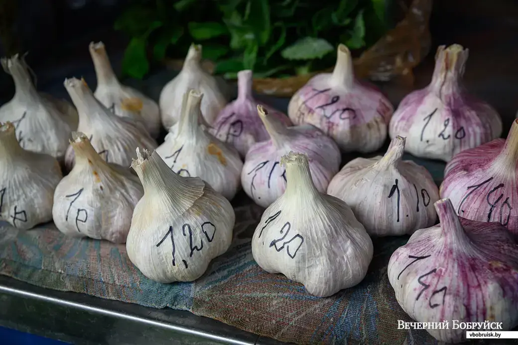 17.06.2022. Бобруйск. Торговля овощами на рынке (улица Красноармейская)