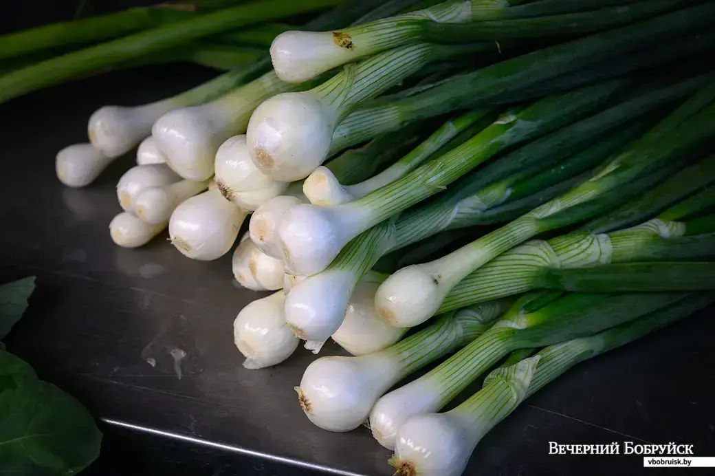 17.06.2022. Бобруйск. Торговля овощами на рынке (улица Красноармейская)