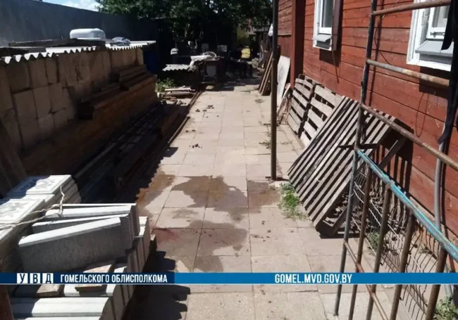 В Гомельской области собака насмерть загрызла женщину