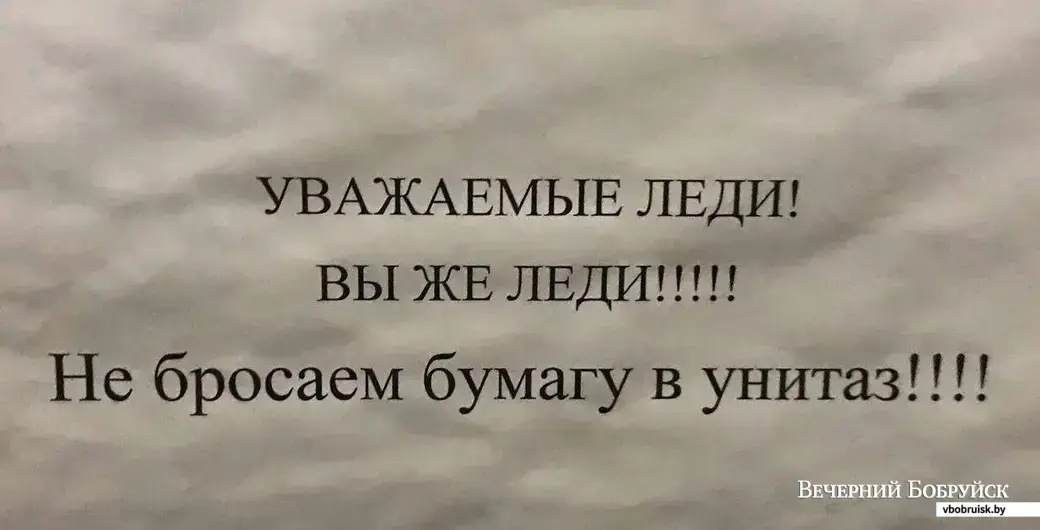 А еще к посетительницам этой уборной обращаются галантно: «леди»!