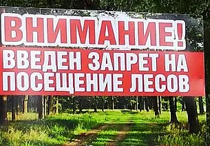 В четырех районах Могилевской области введено ограничение на посещение лесов