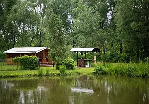 Зона отдыха «Пипеновка»: коллективный и семейный отдых на лоне природы рядом с Могилевом