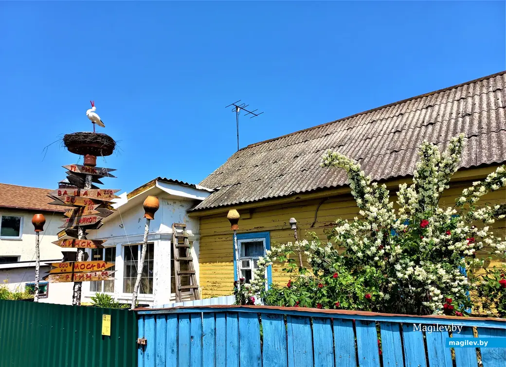 После этого встреча с аистом в гнезде (как оказалось, бутафорским аистом) была необыкновенно радостной. Значит, жизнь продолжается! Могилев, Менжинка. 20.06.2022 года.