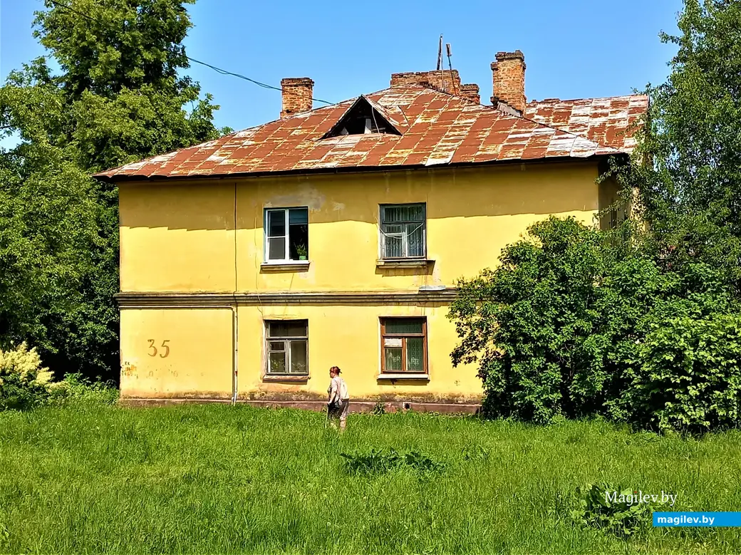 И слышно, как звенит комар. Могилев, Менжинка. 20.06.2022 года.