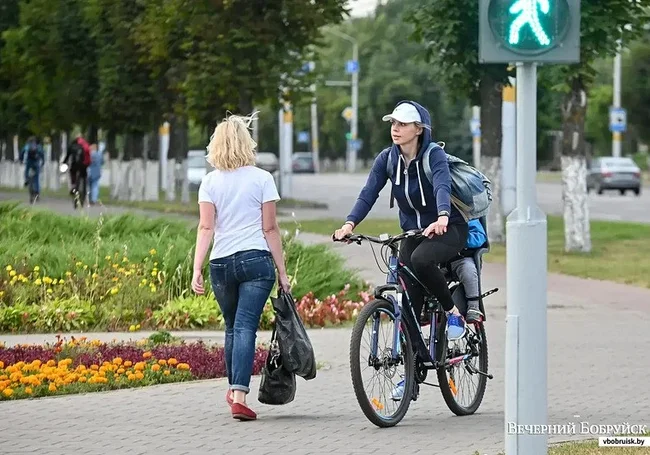 «Когда велосипедисты смогут не спешиваться на пешеходном переходе?». Читатель спрашивает
