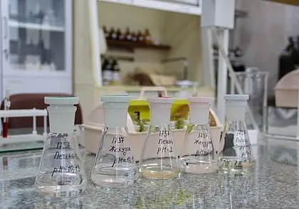 В Шклове мужчина отравился наркотиком. Пострадавший погиб