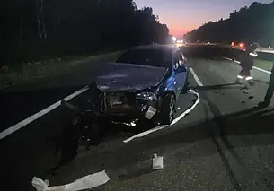 Под Борисовом 25-летний водитель Volkswagen погиб в столкновении с лосем