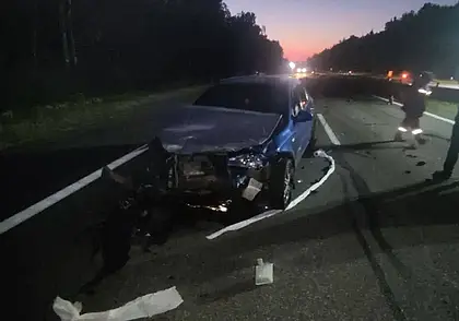 Под Борисовом 25-летний водитель Volkswagen погиб в столкновении с лосем