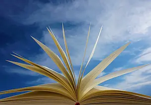 «Библионочь у Карла Маркса» ждет в гости могилевчан 21 апреля