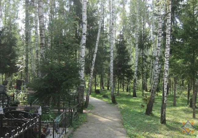 Решил сжечь собранный на кладбище мусор и получил ожоги