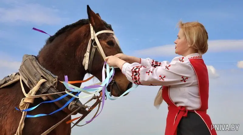 Народный обряд «Засевки» провели в ЗАО «Агрокомбинат «Заря». Могилевский район, 19.04.2023 г. Фото: pniva.by