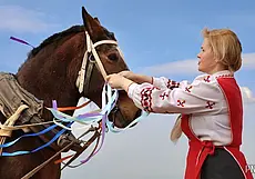 «Засевки» у деревни Застенки, пешком по Бобруйску и как в Климовичах молодежь примерила «депутатский портфель»: обзор СМИ за минувший день