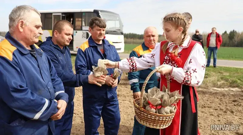 Народный обряд «Засевки» провели в ЗАО «Агрокомбинат «Заря». Могилевский район, 19.04.2023 г. Фото: pniva.by