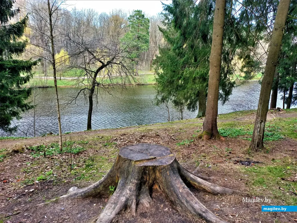 Печерское озеро. 19.04.2023 г.