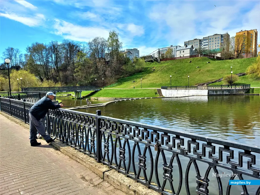 Рыбаки изменений в поведении птиц, особенно чаем, не отмечают. Хотя главный объект их внимания – поплавок. Дубровенка. 19.04.2023 г.