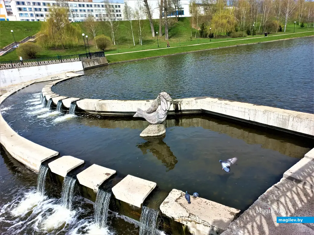 Русалка Алка всегда внимательна к своим пернатым посетителям. Которых пока не очень-то и много. Дубровенка. 19.04.2023 г.