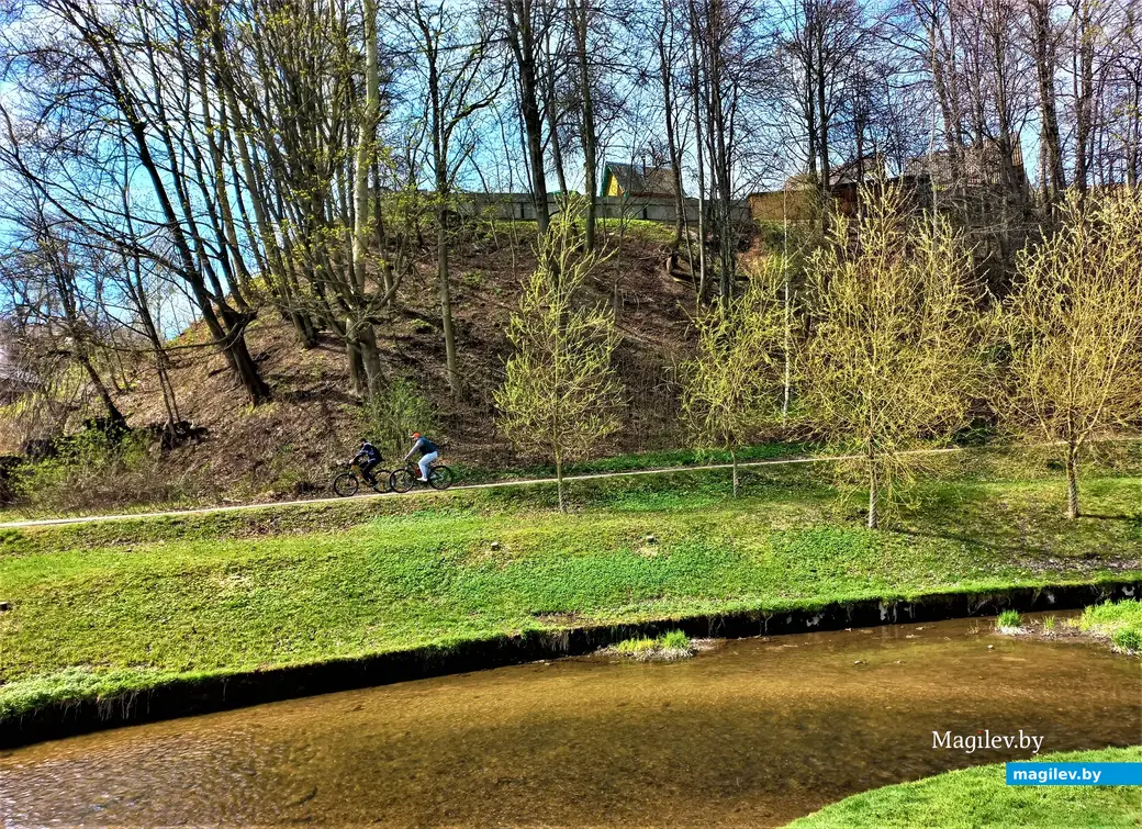 Дубровенка. 19.04.2023 г.