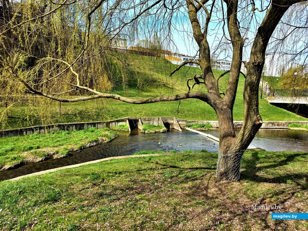 Дубровенка. 19.04.2023 г.