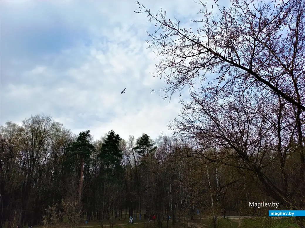 Печерское озеро. 19.04.2023 г.