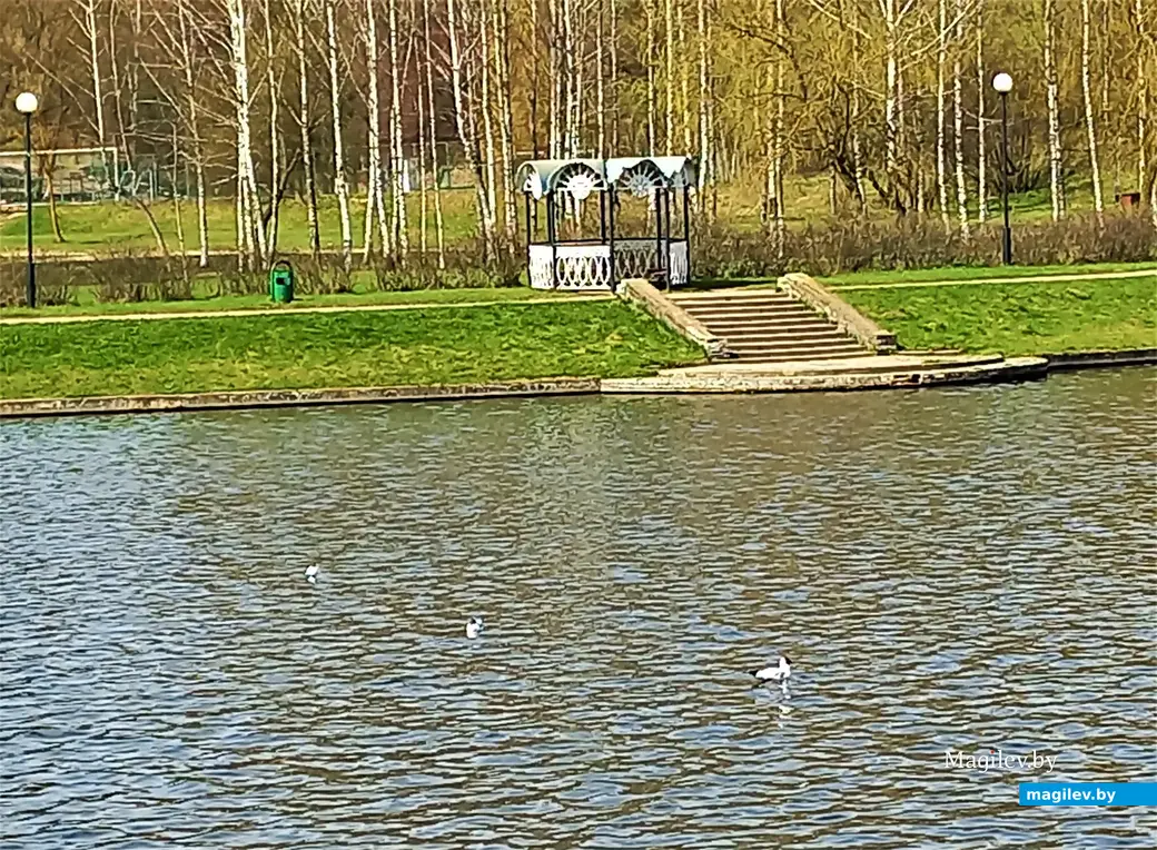 Дубровенка. 19.04.2023 г.