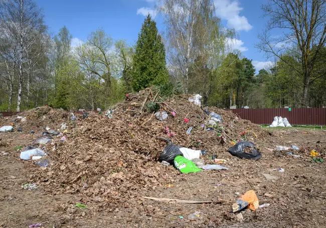 21 октября и 4 ноября: названы даты общегородских субботников в Могилеве