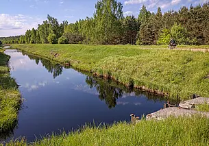 В Могилевском и Шкловском районах запретили посещение лесов