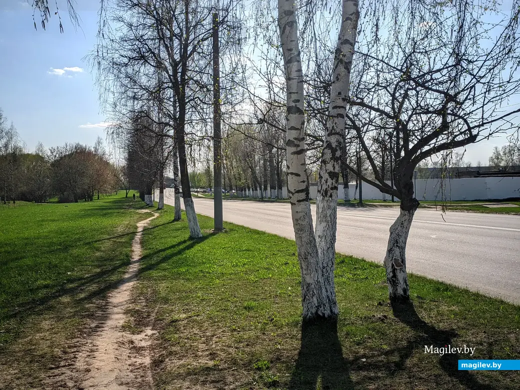 Следуем далее по ул. Академика Павлова. 21 апреля 2023 года.