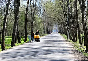 «А вы не знаете, почему яблоки такие дорогие?» Жизнь глазами могилевчан