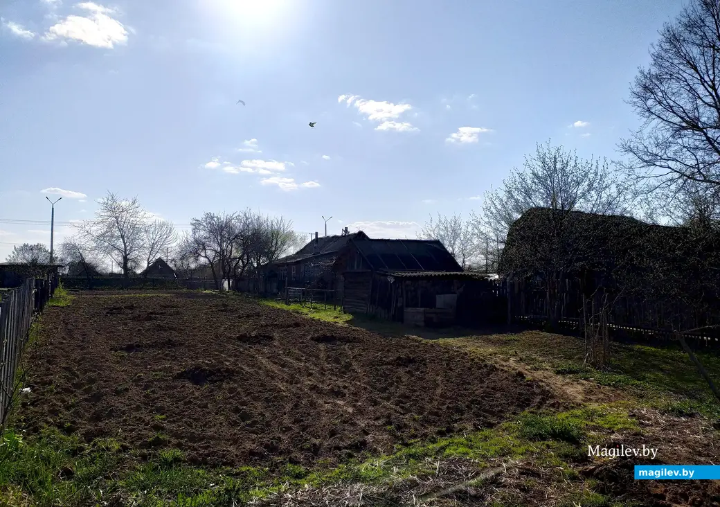 Прошла в переулки ближе к Славгородскому шоссе, стали встречаться знакомые крестьянские пейзажи. Могилев, 21 апреля 2023 года.