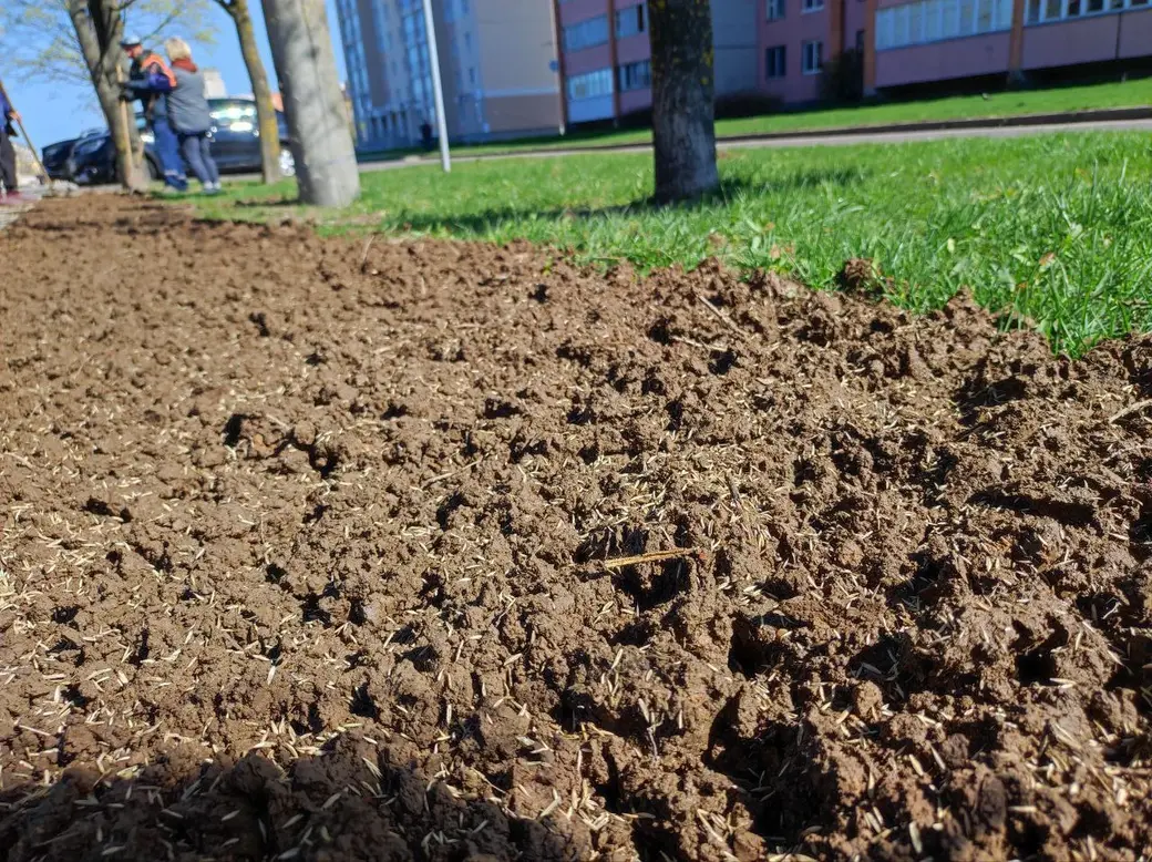 Cпециалисты «Могилевзеленстрой» трудятся над благоустройством территории. Могилев, 21.04.2023 г. Фото: t.me/moymogilev