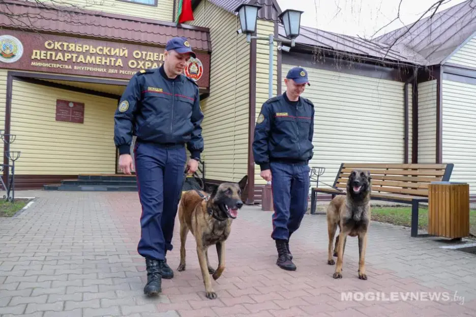 В питомнике служебных собак Могилевского областного управления Департамента охраны. Фото: mogilevnews.by