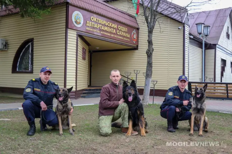 В питомнике служебных собак Могилевского областного управления Департамента охраны. Фото: mogilevnews.by