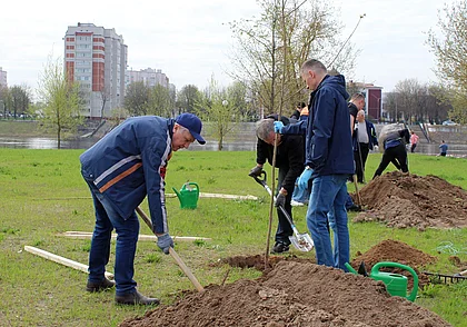 Могилевчан приглашают принять участие в республиканском субботнике